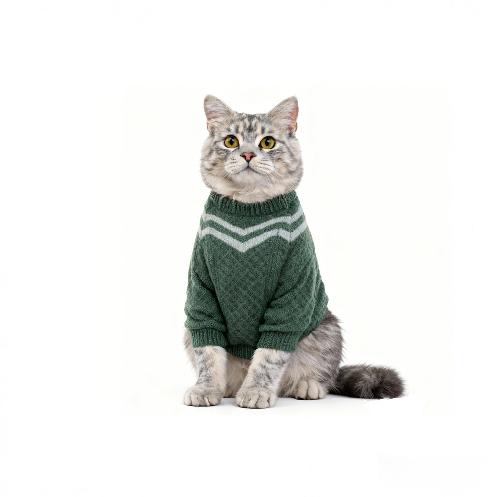 Zootopia pawbert cosplay pet cosplay costume green sweater