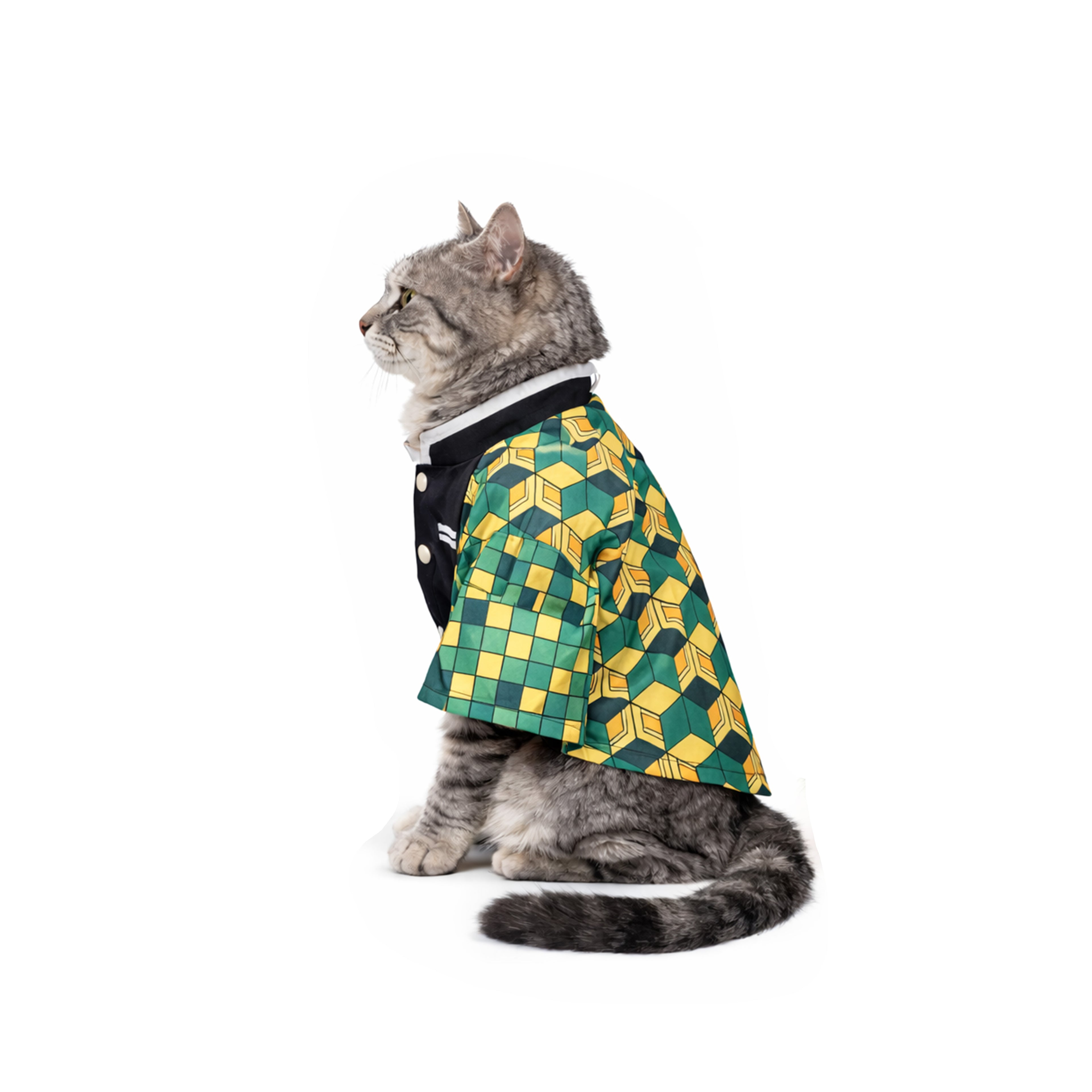 Demon Slayer Giyuu Tomioka cosplay pet cosplay costume