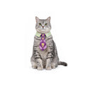 JoJo's Bizarre Adventure Kira Yoshikage Tie pet cosplay costume
