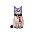 Monster Hunter Palico Cosplay Pet Costume Felyne Cosplay Blue Hat