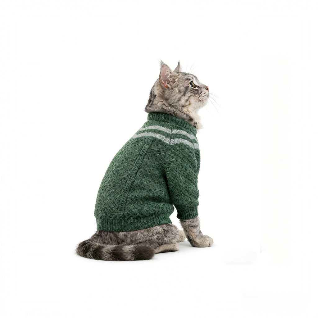 Zootopia pawbert cosplay pet cosplay costume green sweater