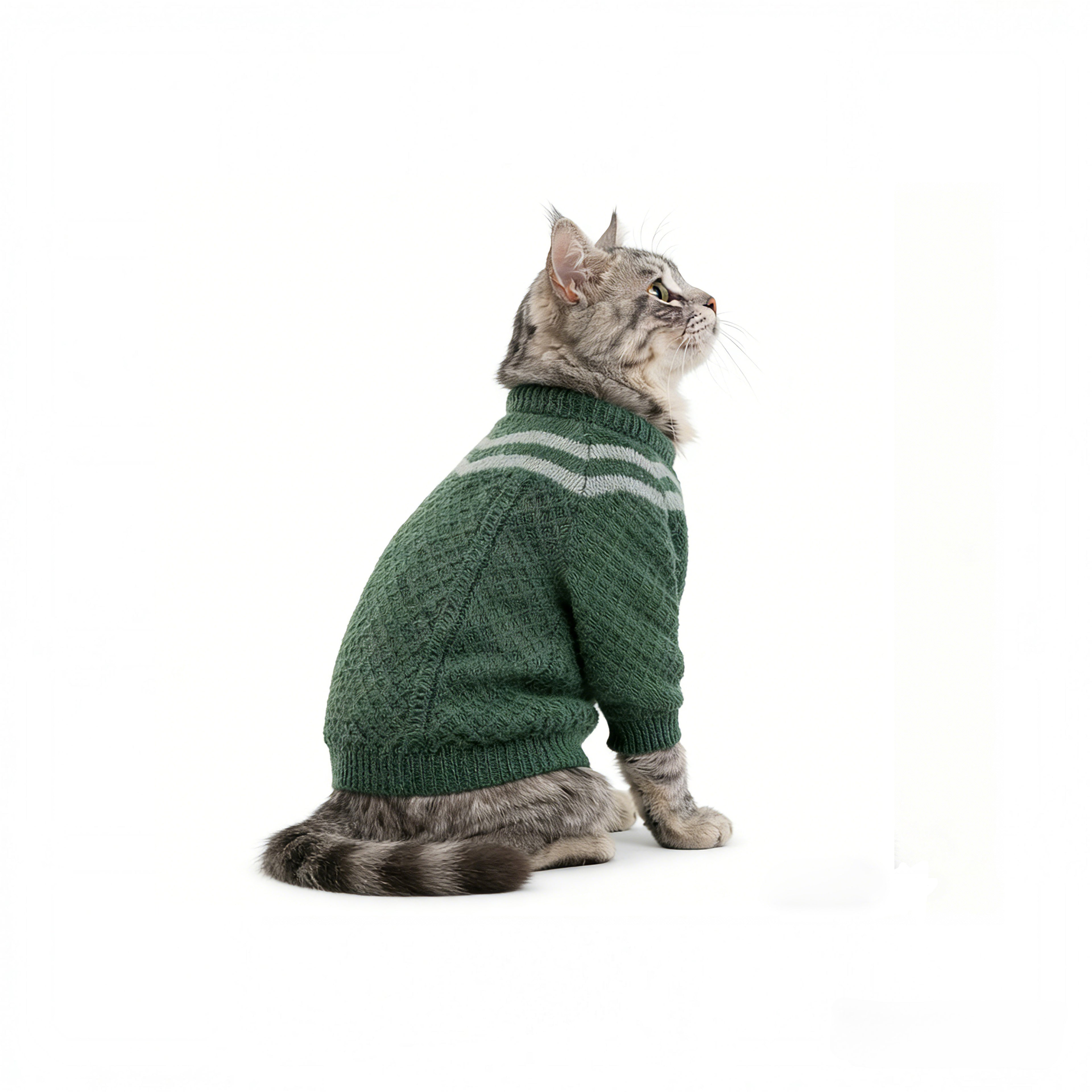 Zootopia pawbert cosplay pet cosplay costume green sweater