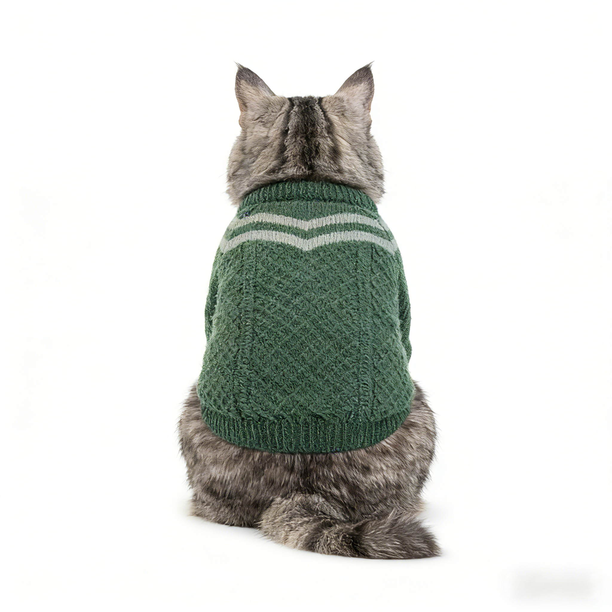 Zootopia pawbert cosplay pet cosplay costume green sweater